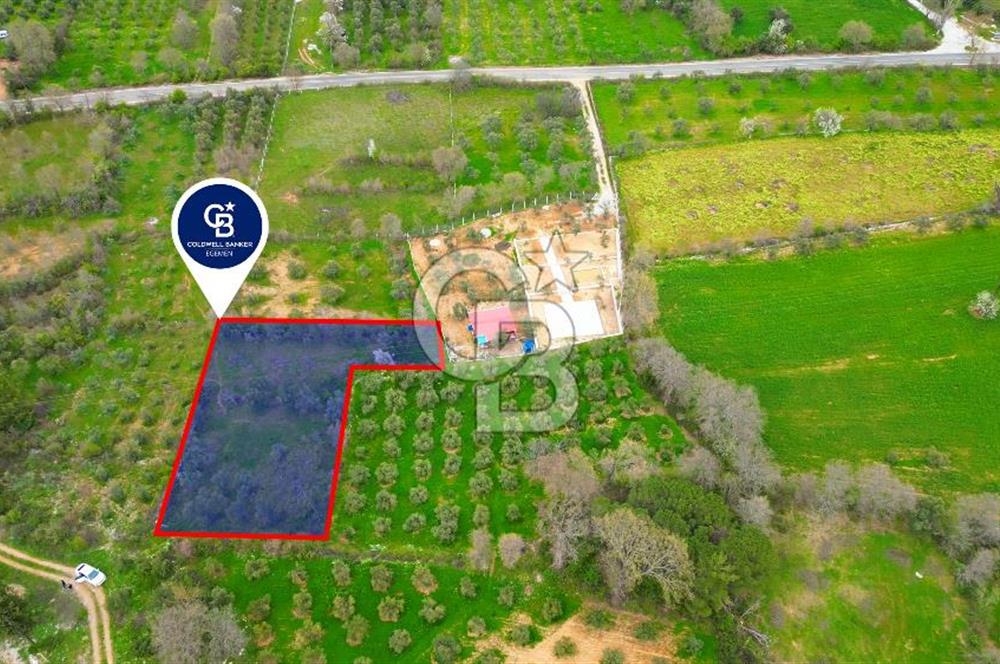 MENTEŞE YERKESİK'TE 1327 M2 SATILIK İMAR SINIRINDA TARLA