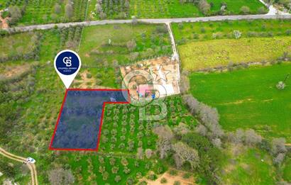 MENTEŞE YERKESİK'TE 1327 M2 SATILIK İMAR SINIRINDA TARLA
