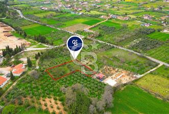 MENTEŞE YERKESİK'TE 1327 M2 SATILIK İMAR SINIRINDA TARLA - 12 - 344944