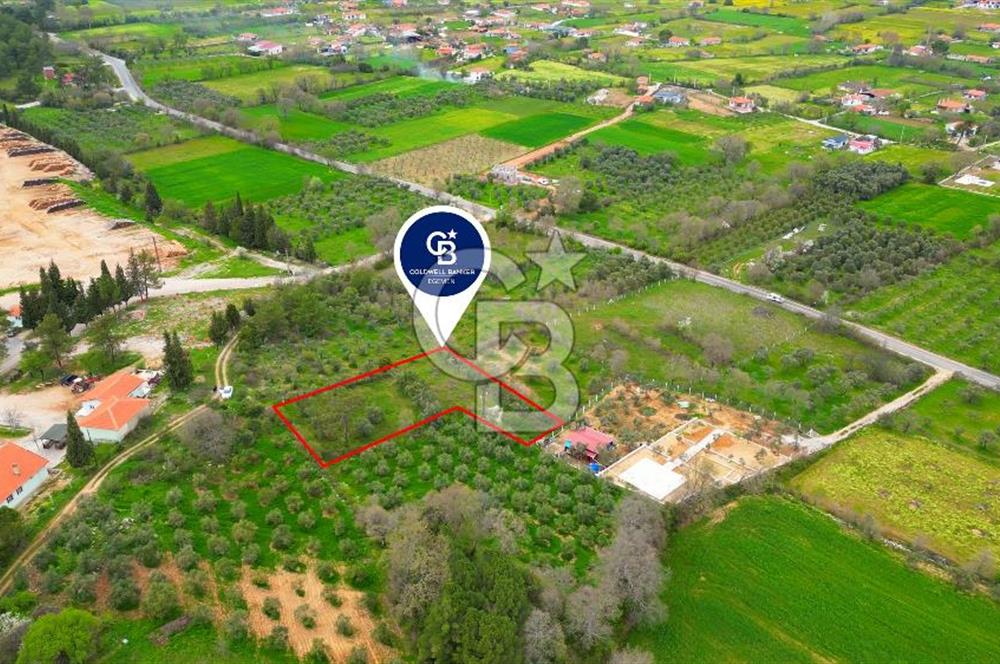 MENTEŞE YERKESİK'TE 1327 M2 SATILIK İMAR SINIRINDA TARLA