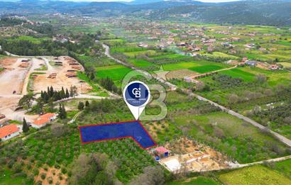 MENTEŞE YERKESİK'TE 1327 M2 SATILIK İMAR SINIRINDA TARLA