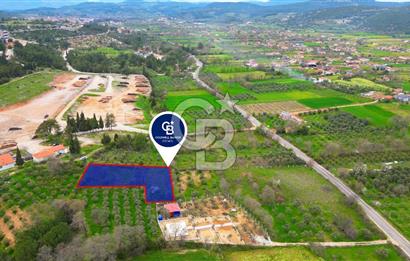 MENTEŞE YERKESİK'TE 1327 M2 SATILIK İMAR SINIRINDA TARLA