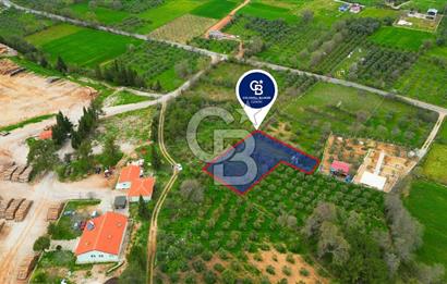 MENTEŞE YERKESİK'TE 1327 M2 SATILIK İMAR SINIRINDA TARLA