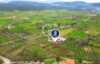 MENTEŞE YERKESİK'TE 1327 M2 SATILIK İMAR SINIRINDA TARLA