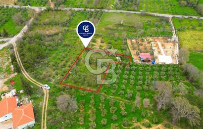 MENTEŞE YERKESİK'TE 1327 M2 SATILIK İMAR SINIRINDA TARLA