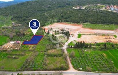 MENTEŞE YERKESİK'TE 1327 M2 SATILIK İMAR SINIRINDA TARLA