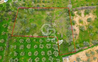 MENTEŞE YERKESİK'TE 1327 M2 SATILIK İMAR SINIRINDA TARLA