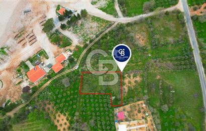 MENTEŞE YERKESİK'TE 1327 M2 SATILIK İMAR SINIRINDA TARLA
