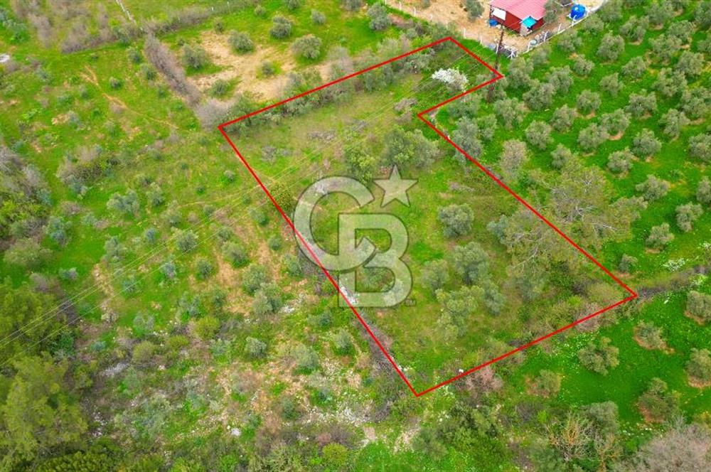 MENTEŞE YERKESİK'TE 1327 M2 SATILIK İMAR SINIRINDA TARLA