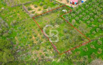 MENTEŞE YERKESİK'TE 1327 M2 SATILIK İMAR SINIRINDA TARLA