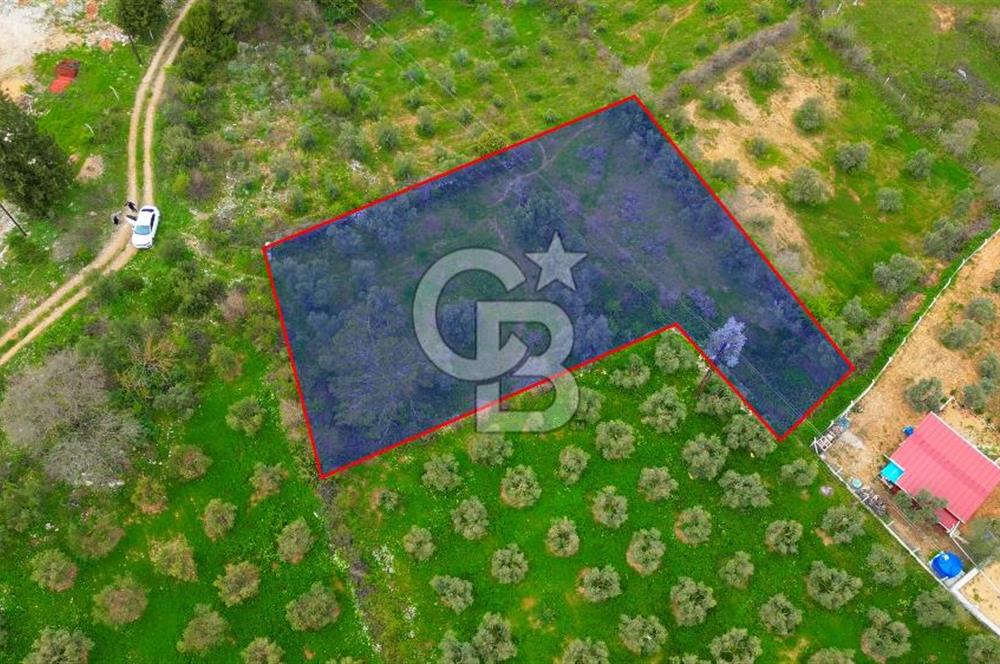 MENTEŞE YERKESİK'TE 1327 M2 SATILIK İMAR SINIRINDA TARLA