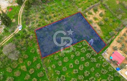 MENTEŞE YERKESİK'TE 1327 M2 SATILIK İMAR SINIRINDA TARLA