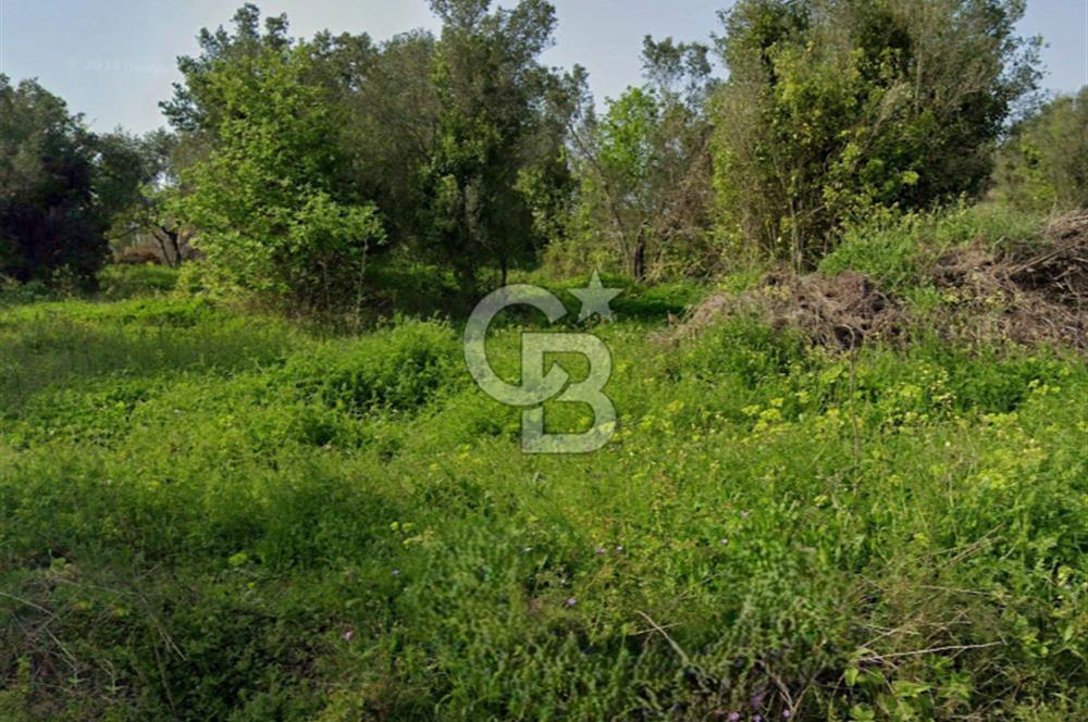 YALOVA ÇINARCIK KORU DENİZ MANZARALI SATILIK KONUT İMARLI ARSA!.