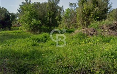 YALOVA ÇINARCIK KORU DENİZ MANZARALI SATILIK KONUT İMARLI ARSA!.