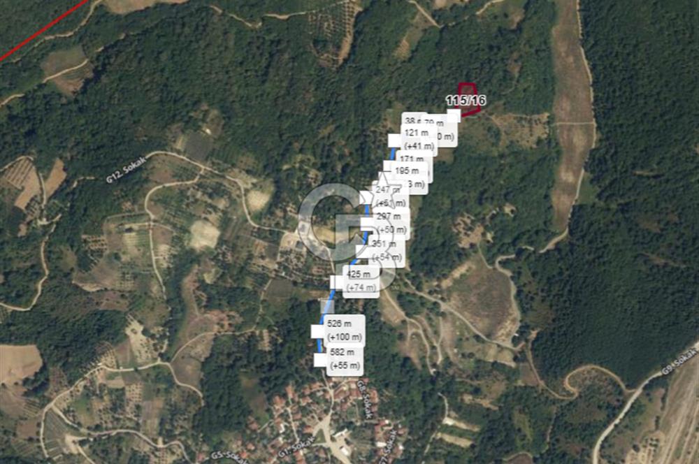 YALOVA ALTINOVA SERMAYECİK KÖYÜNDE 3459 m2 SATILIK TARLA!.......