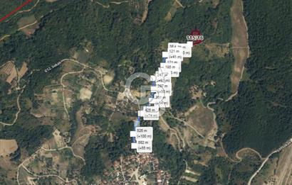 YALOVA ALTINOVA SERMAYECİK KÖYÜNDE 3459 m2 SATILIK TARLA!.......