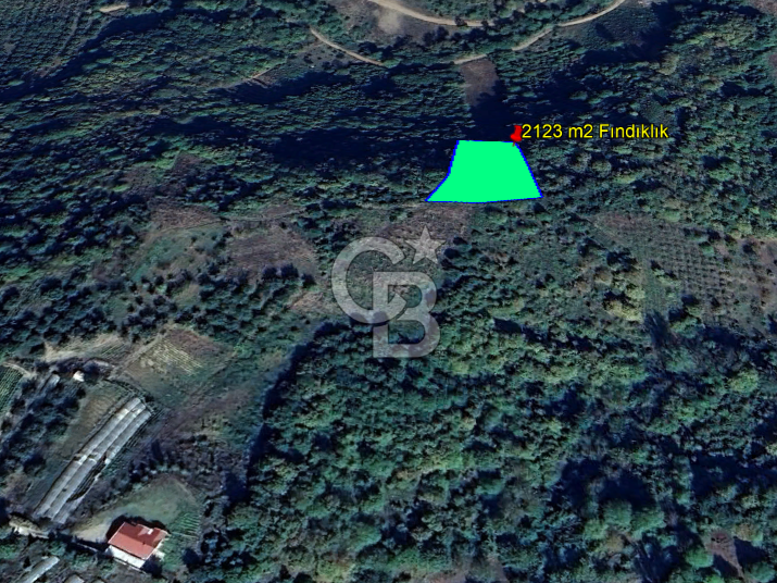 YALOVA ALTINOVA SERMAYECİK KÖYÜNDE 3459 m2 SATILIK TARLA!.......