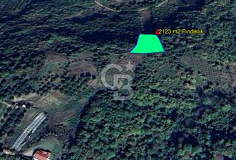 YALOVA ALTINOVA SERMAYECİK KÖYÜNDE 3459 m2 SATILIK TARLA!....... - 8 - 344998