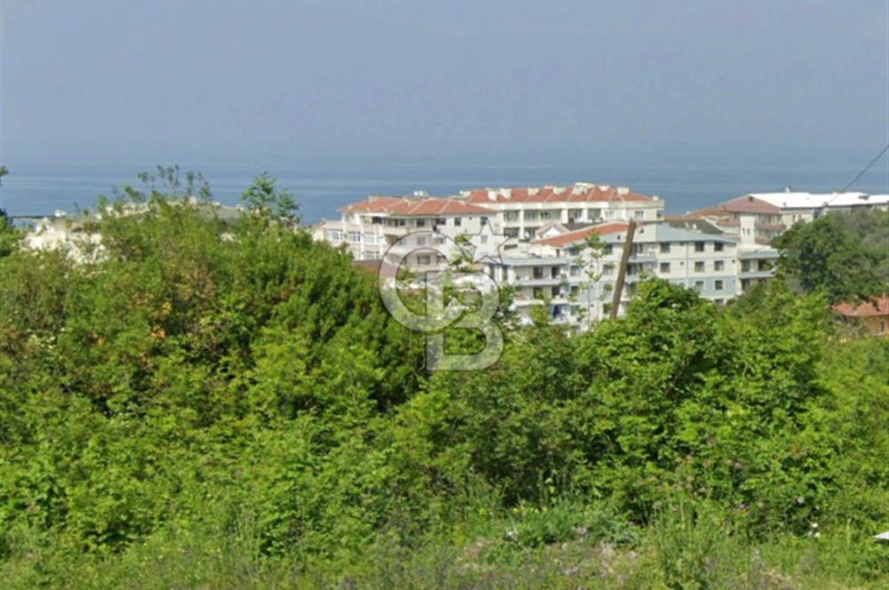 YALOVA ÇINARCIK DENİZ MANZARALI 4,5 KAT KONUT İMARLI ARSA!....