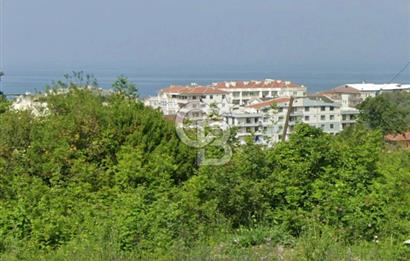 YALOVA ÇINARCIK DENİZ MANZARALI 4,5 KAT KONUT İMARLI ARSA!....