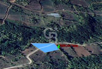 YALOVA ALTINOVA SERMAYECİK KÖYÜNDE 2123 m2 SATILIK FINDIKLIK !.. - 9 - 344997