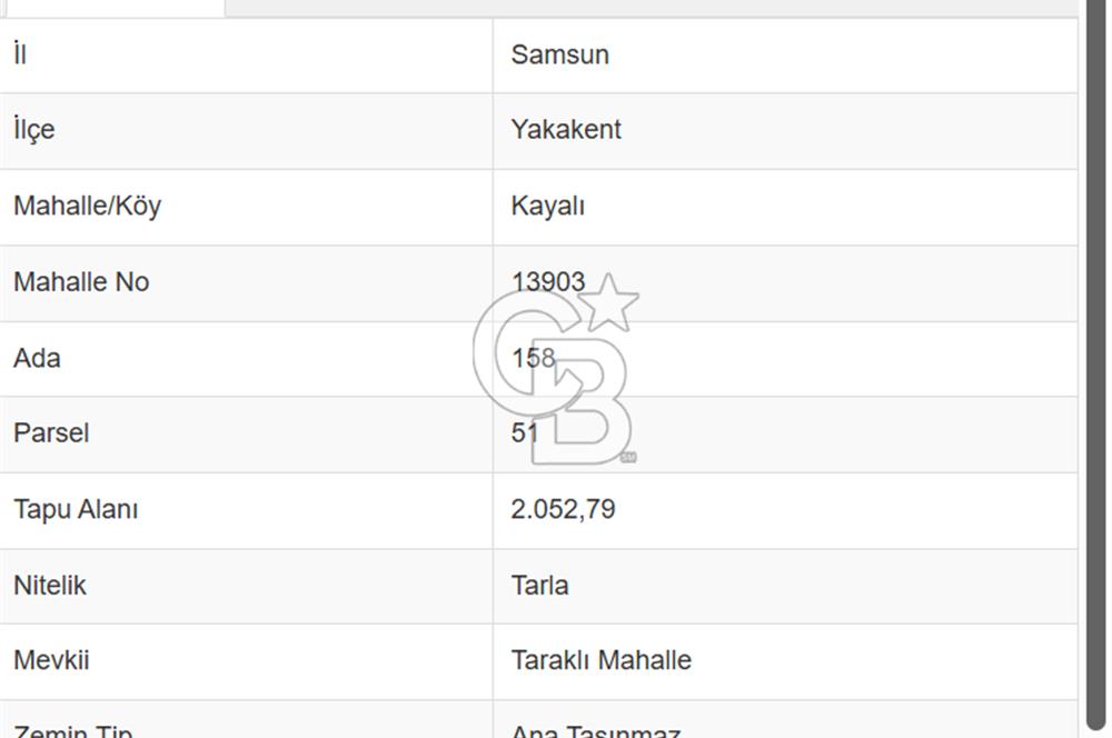 SAMSUN YAKAKENT KAYALI MAH. SATILIK TARLA