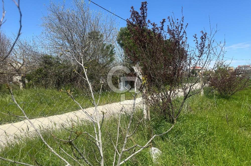 Silivri Balaban Mahallesi Satılık Arsa