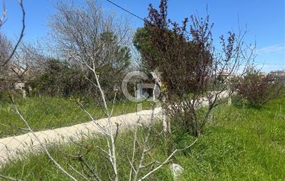 Silivri Balaban Mahallesi Satılık Arsa