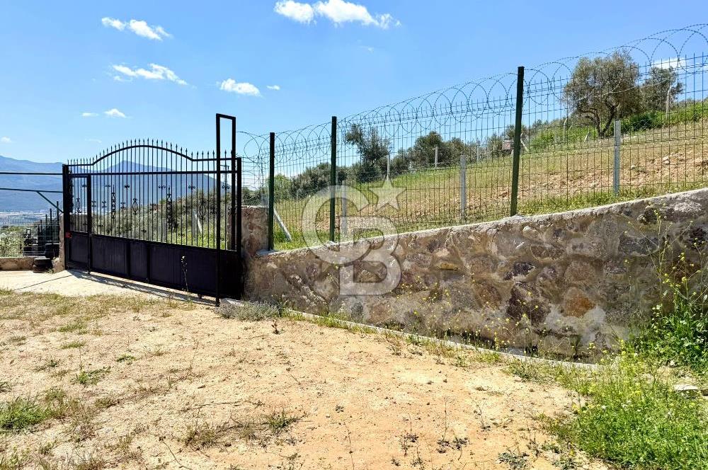 KUYUCAK SATILIK TARLA