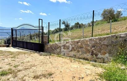 KUYUCAK SATILIK TARLA