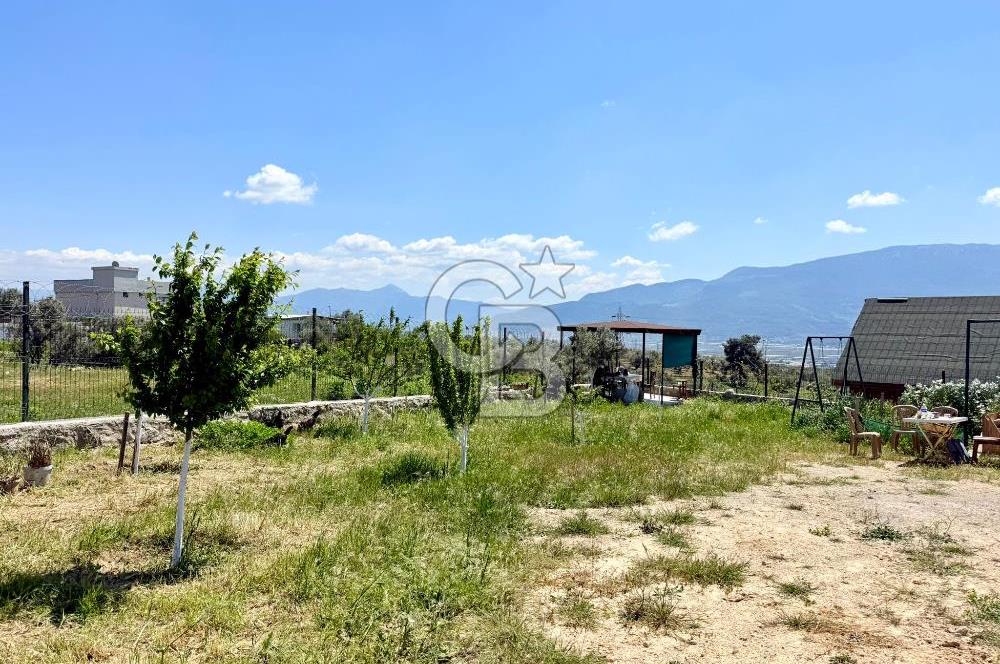 KUYUCAK SATILIK TARLA