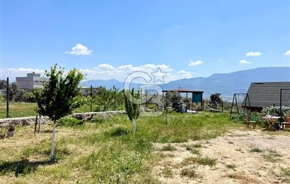 KUYUCAK SATILIK TARLA