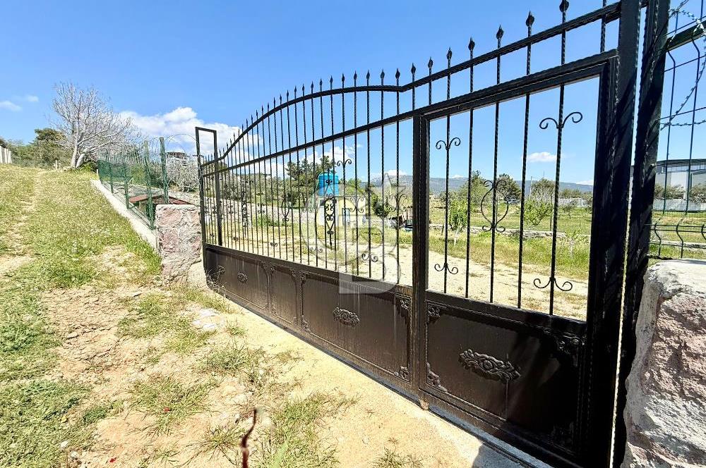 KUYUCAK SATILIK TARLA