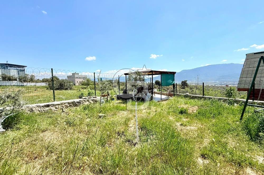 KUYUCAK SATILIK TARLA