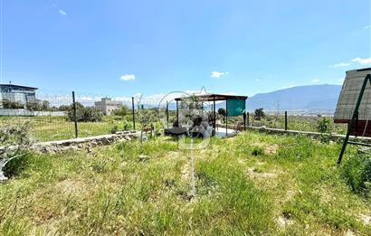 KUYUCAK SATILIK TARLA