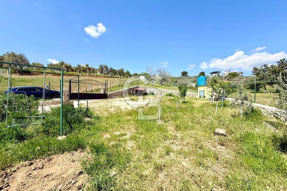 KUYUCAK SATILIK TARLA