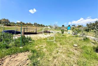 KUYUCAK SATILIK TARLA - 1 - 345035