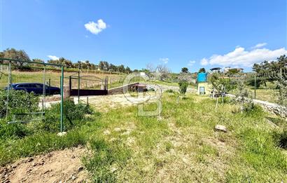 KUYUCAK SATILIK TARLA