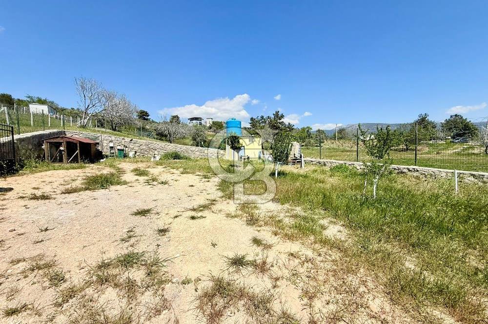 KUYUCAK SATILIK TARLA