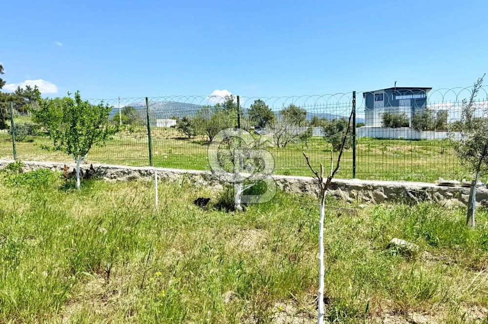 KUYUCAK SATILIK TARLA