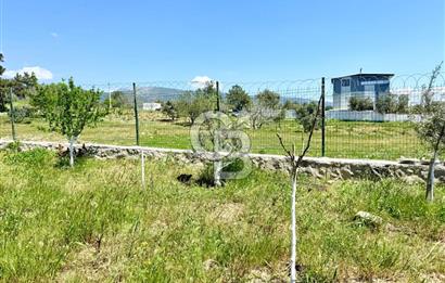 KUYUCAK SATILIK TARLA