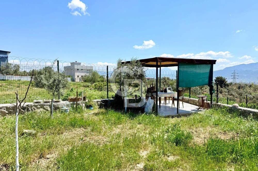 KUYUCAK SATILIK TARLA