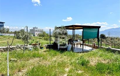 KUYUCAK SATILIK TARLA