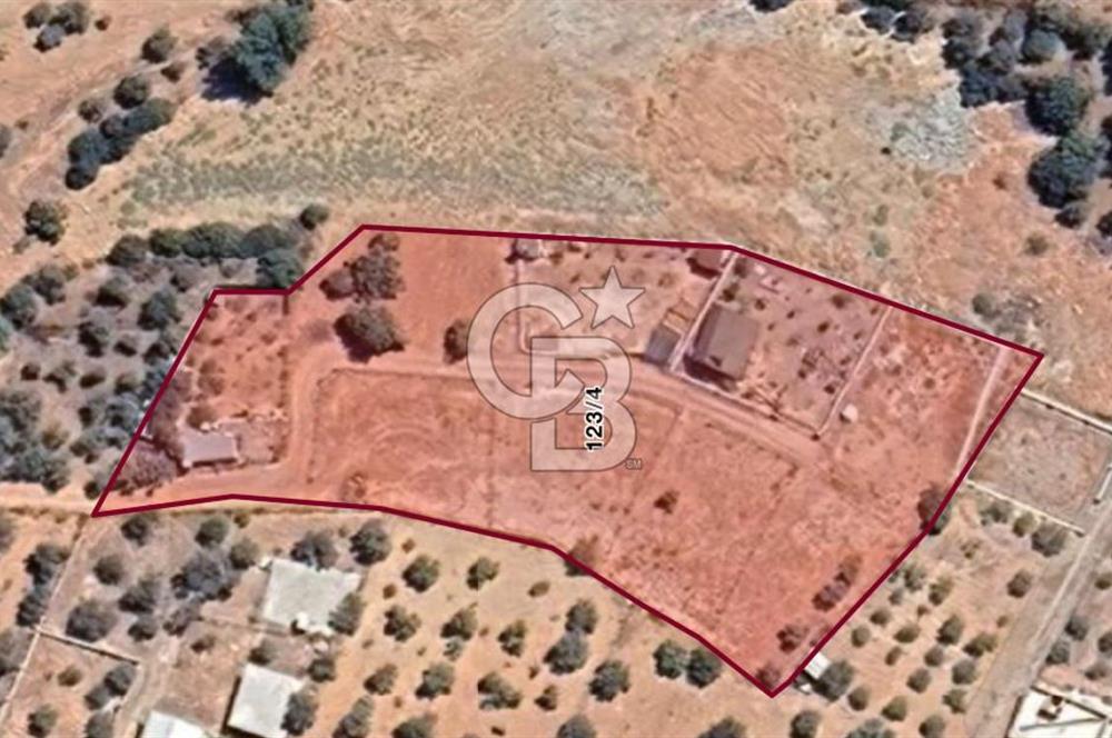 KUYUCAK SATILIK TARLA