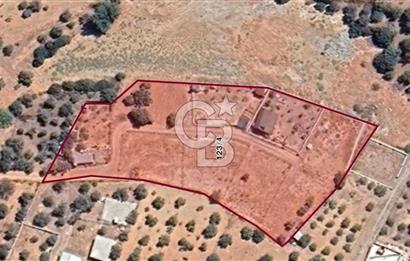 KUYUCAK SATILIK TARLA