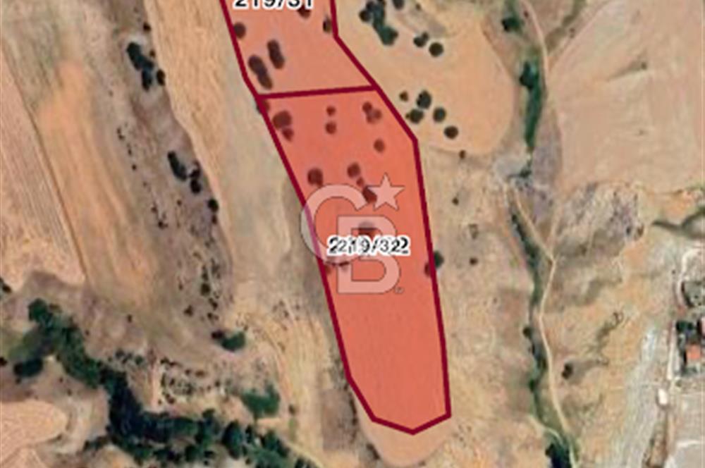 YUKARIYURTÇU' DA SATILIK YATIRIMLIK İMARA SINIR SATILIK TARLA