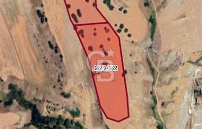 YUKARIYURTÇU' DA SATILIK YATIRIMLIK İMARA SINIR SATILIK TARLA