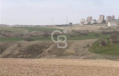 YUKARIYURTÇU' DA SATILIK YATIRIMLIK İMARA SINIR SATILIK TARLA