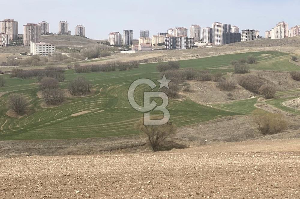 YUKARIYURTÇU' DA SATILIK YATIRIMLIK İMARA SINIR SATILIK TARLA