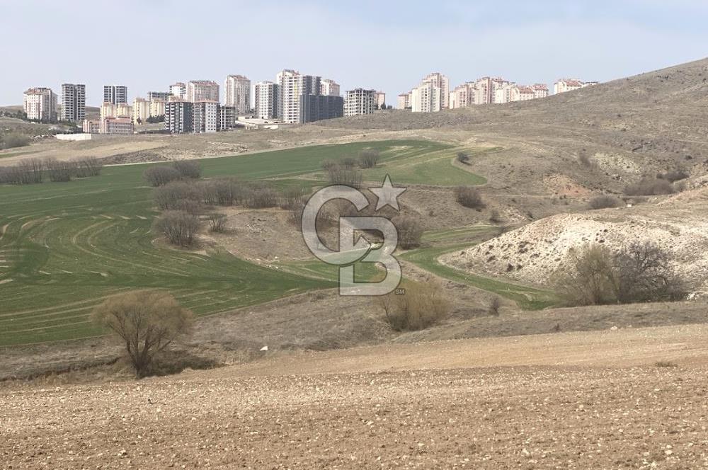 YUKARIYURTÇU' DA SATILIK YATIRIMLIK İMARA SINIR SATILIK TARLA